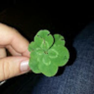 Meet your Posher, Kara